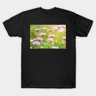 Coastal Daisies T-Shirt